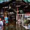 Thailand flooding 06