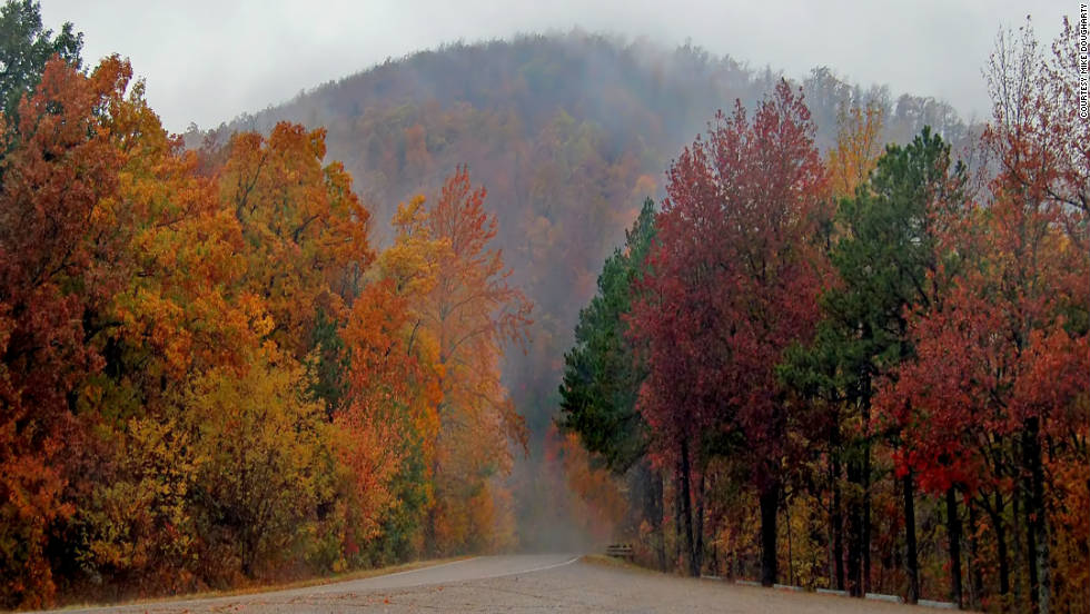 Fantastic fall foliage