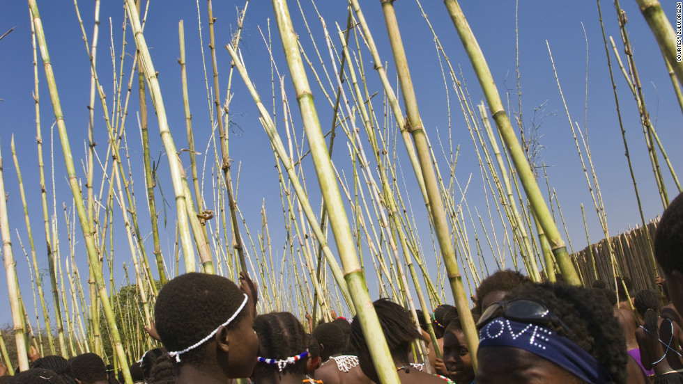 A Journey Through South Africa S Stunning Zulu Kingdom