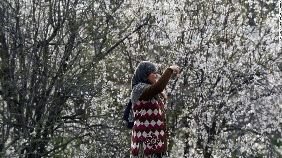 A woman takes a picture of the blooming almond orchards as spring arrives in Srinagar, Kashmir, on Monday, March 18.