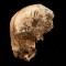 Researchers: Jamestown Settlers Resorted To Cannibalism - CNN.com