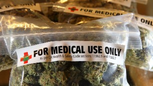 Doctors face medical marijuana knowledge gap