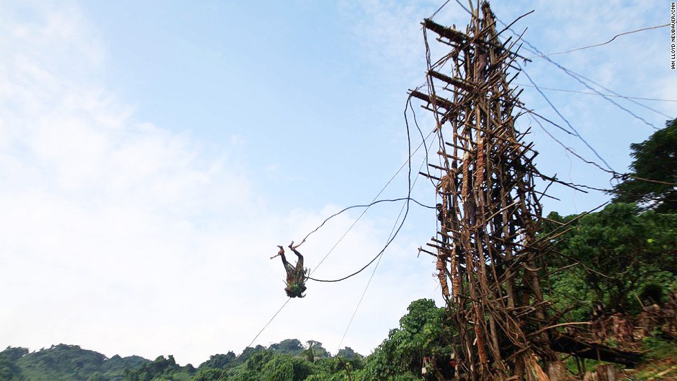 Image result for Land Diving, Vanuatu