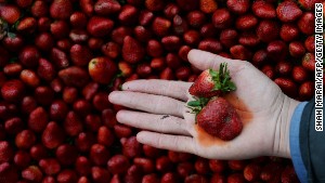 Every year, the Environmental Working Group publishes its &quot;&lt;a href=&quot;http://www.ewg.org/foodnews/dirty_dozen_list.php&quot; target=&quot;_blank&quot;&gt;Dirty Dozen&lt;/a&gt;&quot; list, naming the fruits and vegetables that rank highest in pesticide residue. In 2016, strawberries took the number 1 spot on the &quot;Dirty Dozen&quot; list. The Environmental Working Group report uses testing data from the U.S. Agriculture Department and the Food and Drug Administration. Strawberries showed about 5.75 different pesticides per sample, compared to 1.74 pesticides per sample of all other produce.