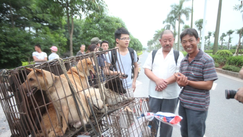 Undeterred, Chinese Festival Serves Up Dog And Cat Meat - CNN