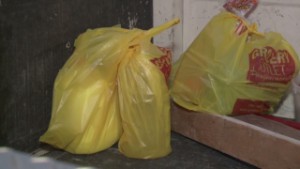 California passes vote on plastic bag ban