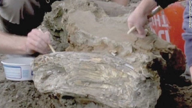 Mammoth Fossil Uncovered In Idaho Cnn Video