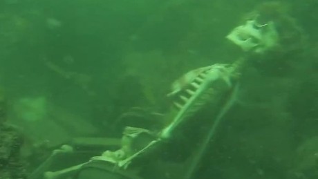 underwater found skeletons skeleton tea party human diver remains battleship cnn discovers having wwii wreck fake musashi aircraft japanese japan