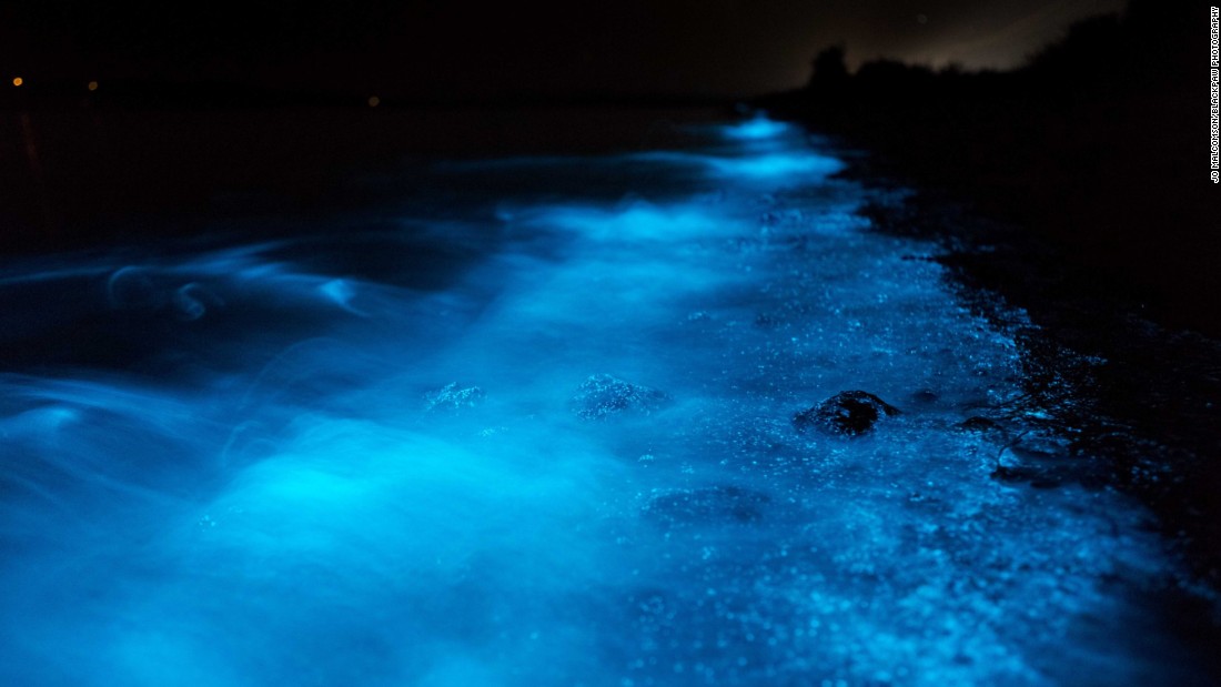 Bioluminescence turns Australia's shores bright blue