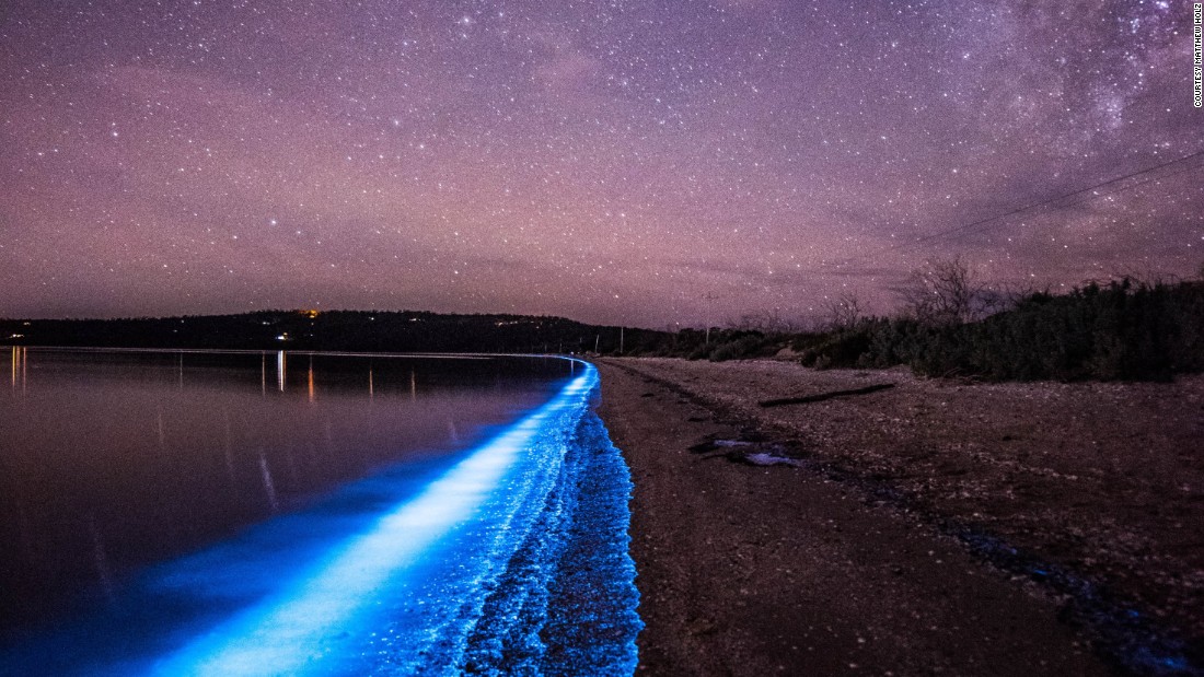 Bioluminescence turns Australia's shores bright blue