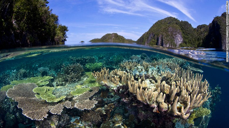 raja ampat