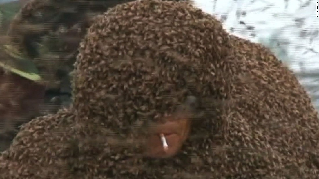 Man Covers Self With About 1 Million Bees Cnn Video