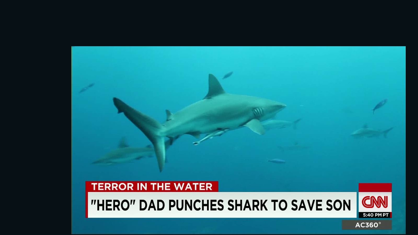 Man Punches Shark To Survive Attack - CNN Video