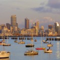 insider guide auckland- main