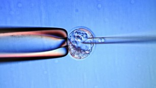 Divisions run deep over how to regulate stem cell clinics
