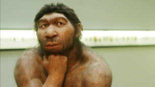 Migrating humans may have killed off Neanderthals by accident