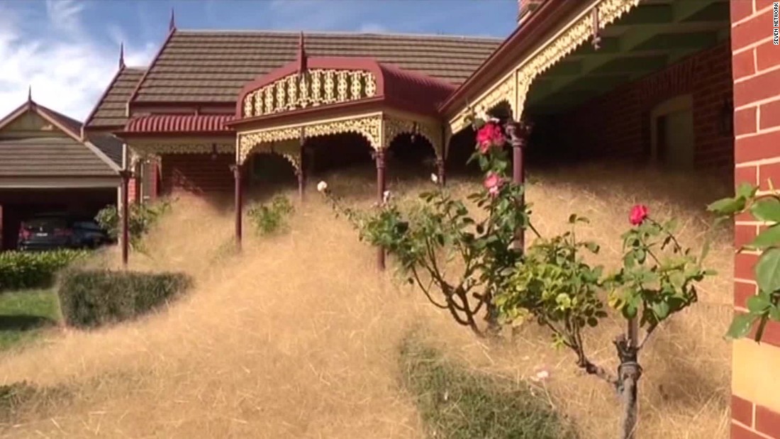 Tumbleweed Invades Australian Town Cnn Video
