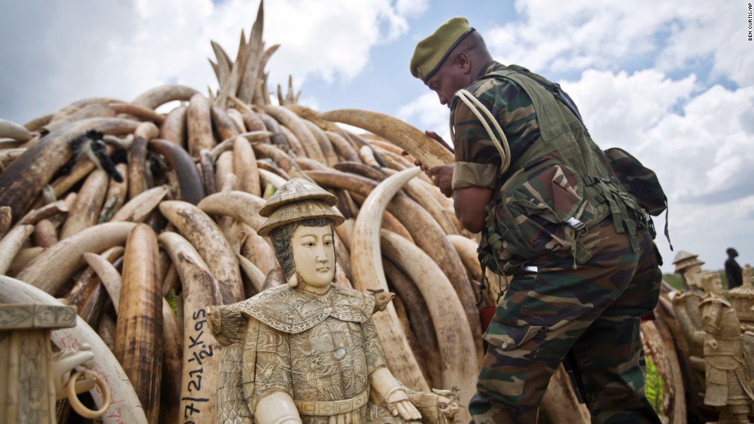 'The Ivory Game': DiCaprio documentary tackles illegal ...