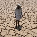 GettyImages-524092582India drought