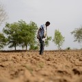 GettyImages-526701826India drought