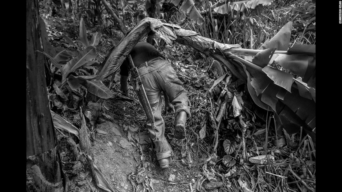 A man comes out of a forest where he just planted some beans for food.