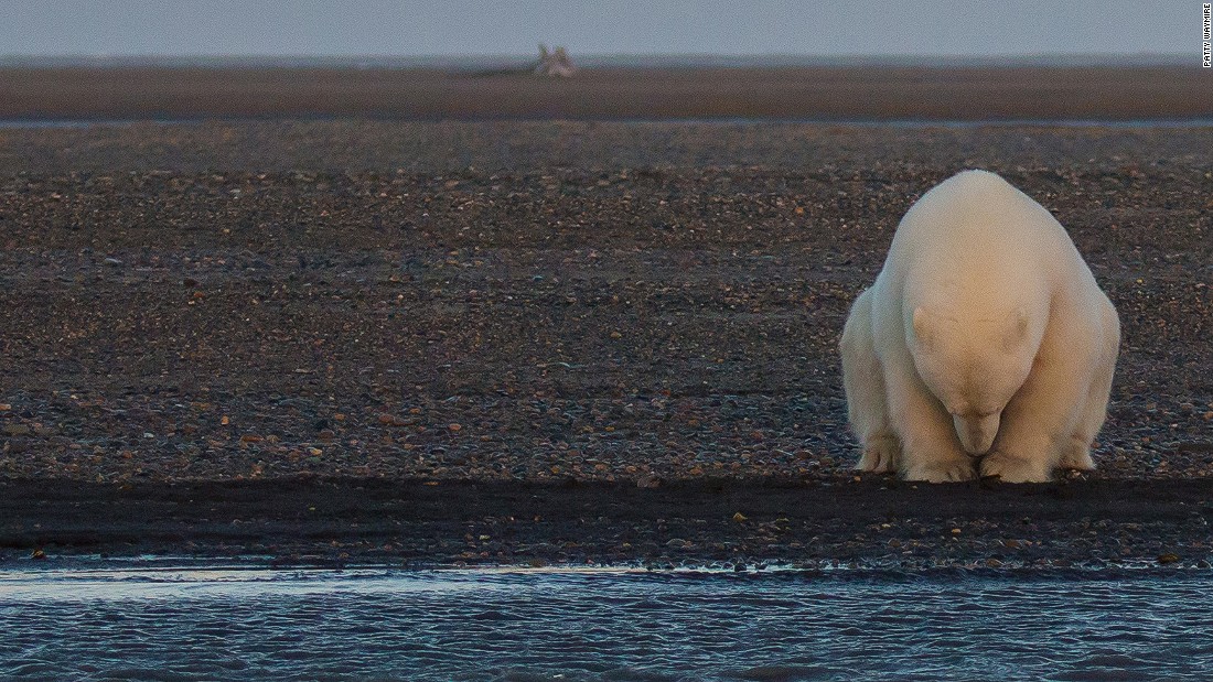 Breathtaking Photos Show Effects Of Climate Change