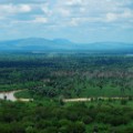 rufij river selous game reserve