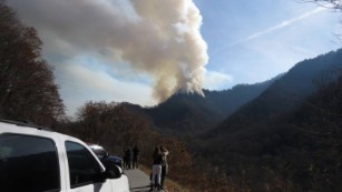 Les feux de forêt brûlent le Sud-Est