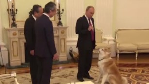 Putin&#39;s dog puts journalists in their place
