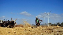 Just a quarter of Ethiopia's population had access to electricity in 2013, but the government aims to reach 90% coverage by 2020. Wind power is key to this ambition. According to the East African state's Growth and Transformation Plan II, wind output will rise from 324 MW to 5,200 MW in the next four years.