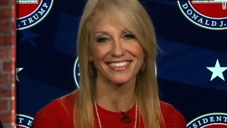 Senior adviser Kellyanne Conway discusses the US-Mexico wall