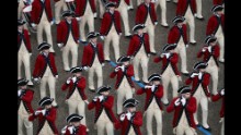 The U.S. Army Old Guard Fife and Drum Corps marches in the Presidential Inaugural Parade on Friday, January 20, in Washington.
