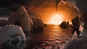 An artist&#39;s concept image of the surface of the exoplanet TRAPPIST-1f. Of the seven exoplanets discovered orbiting the ultracool dwarf star TRAPPIST-1, this one may be the most suitable for life. It is similar in size to Earth, is a little cooler than Earth&#39;s temperature and is in the habitable zone of the star, meaning liquid water (and even oceans) could be on the surface. The proximity of the star gives the sky a salmon hue, and the other planets are so close that they appear in the sky, much like our own moon.  
