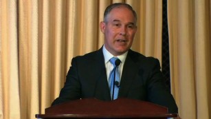 EPA Chief denies carbon is a pollutant