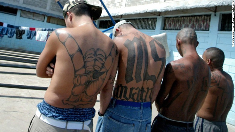 What are the rival gangs of MS-13?