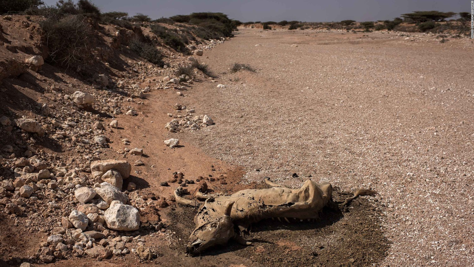 Drought is also a huge problem in Somalia.