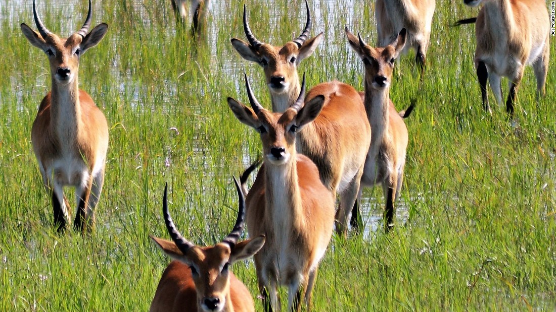 Namibias Caprivi Strip Unspoiled Africa Safari Destination Cnn Travel