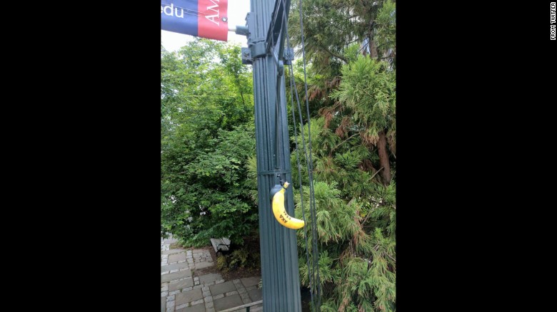 The bananas carried messages, such as "Harambe bait" and a reference to a black sorority.