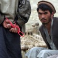 08 war in afghanistan
