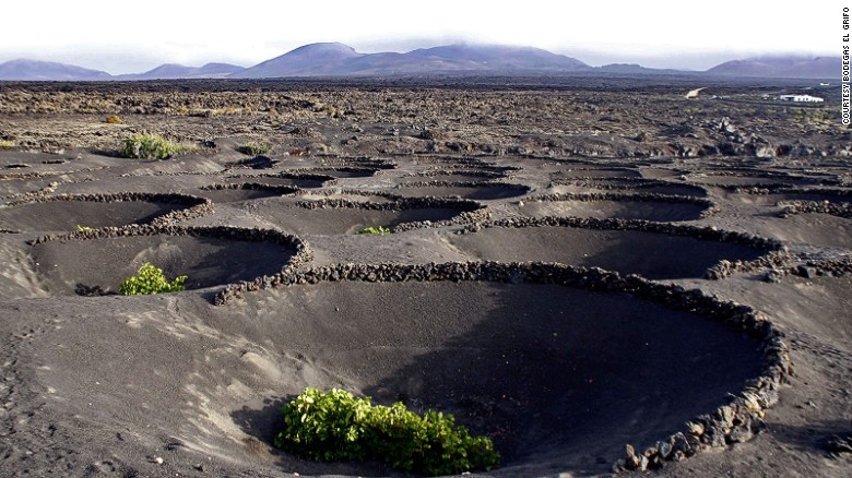<strong>Bodegas El Grifo, Canary Islands: </strong>The arid, volcanic island of Lanzarote might not look like typical wine country, but it's surprisingly hospitable to growing Malvasia grapes.
