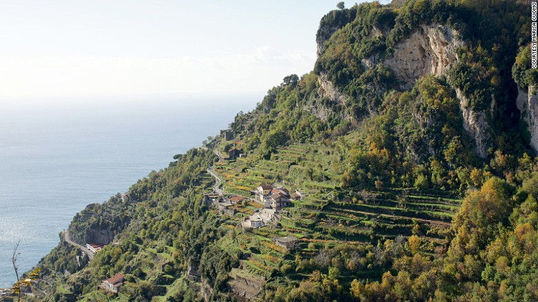<strong>Italy's clifftop winery:</strong> Unlike the rolling, lush vineyards of Tuscany or Umbria, the winery's cantilevered vines cling to the limestone cliff face overlooking the Tyrrhenian Sea.