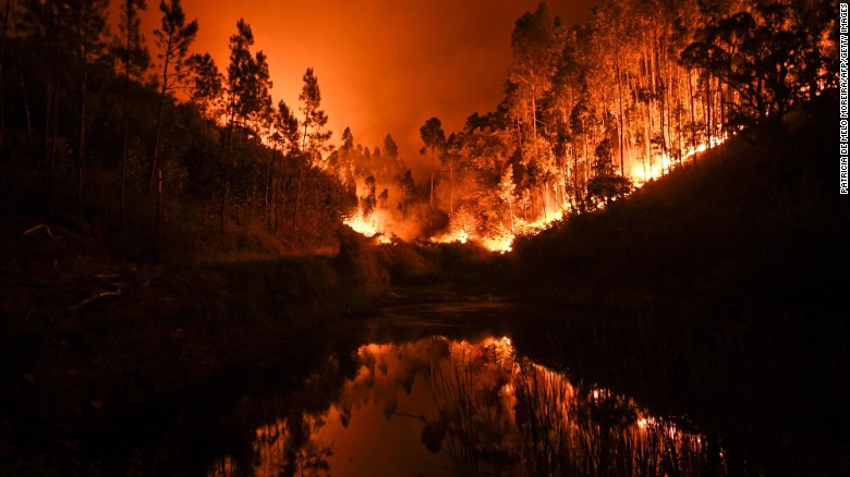 Картинки по запросу portugal wildfire