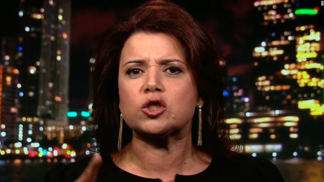 navarro political commentator