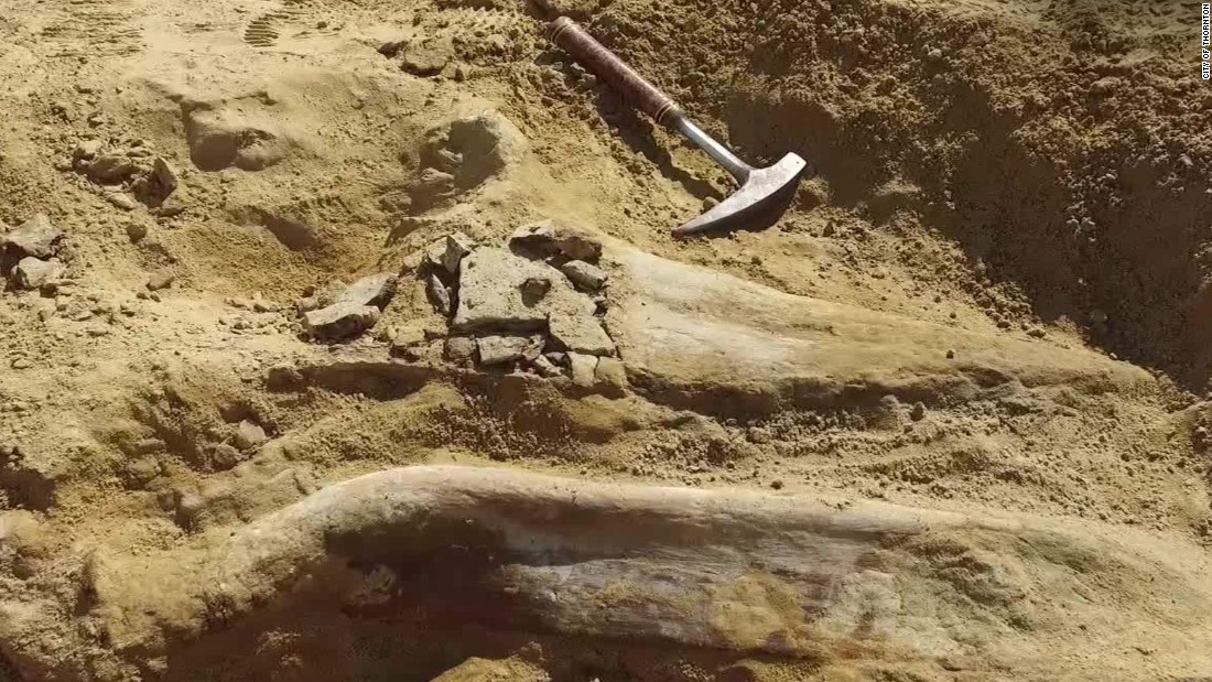 Million Year Old Dinosaur Skull Uncovered Cnn Video