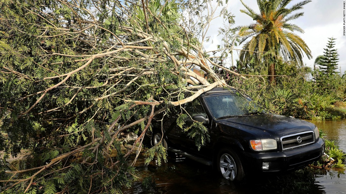 A car covered by a downed tree sits along a flooded road the morning after Hurricane Irma swept through Naples, Florida.