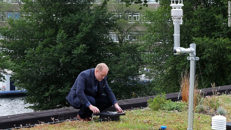 A rooftop garden in Amsterdam.