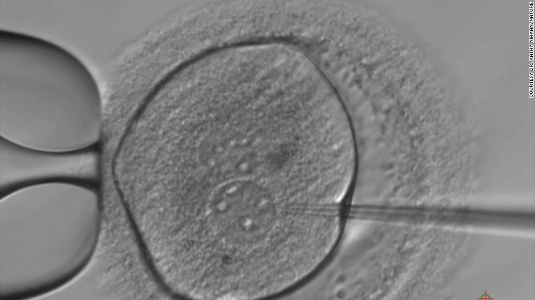 &quot;Embryo microinjection&quot; shows an embryo being injected with the CRISPR-Cas9 components.