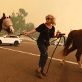31 california wildfires