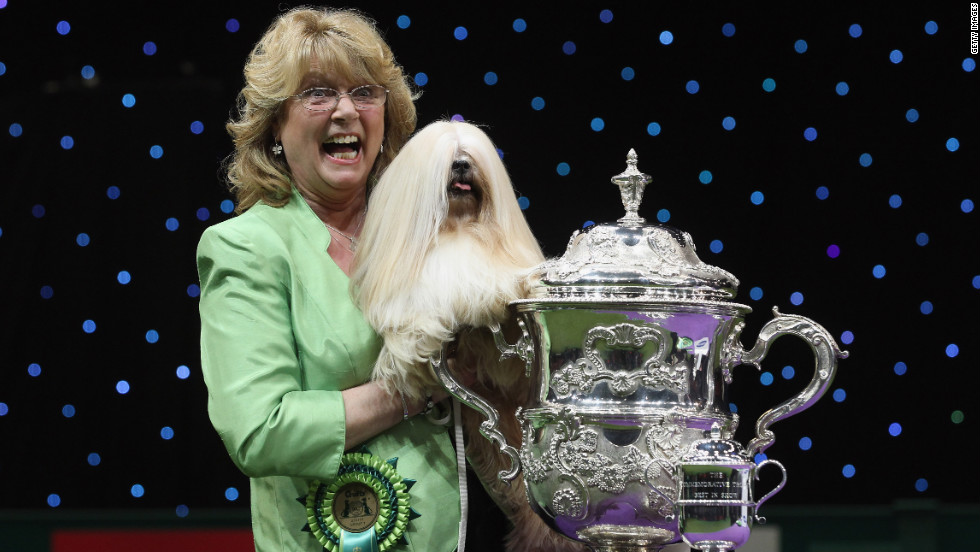 Photos: Crufts dog show