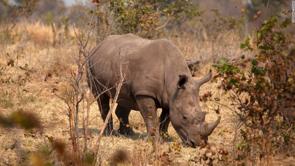 Namibia: wildlife photographer's paradise - CNN.com